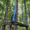 kletterwald 2022