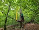 kletterwald 2022