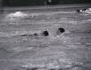 rettungsvergleichwettkampf 1994