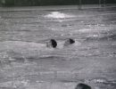rettungsvergleichwettkampf 1994