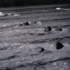 rettungsvergleichwettkampf 1994