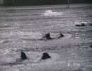 rettungsvergleichwettkampf 1994