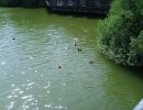 rettungswache aileswasensee 2013 20181028