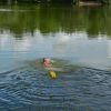 rettungswache aileswasensee 2016 20181031