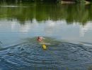 rettungswache aileswasensee 2016 20181031