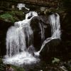 schwarzwald 1996