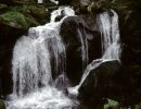 schwarzwald 1996