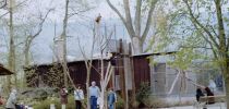 tripsdrill 1997