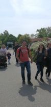 tripsdrill 20190701