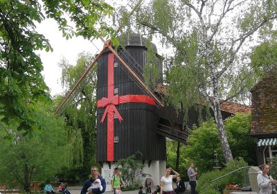 Tripsdrill 2019
