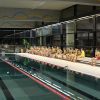 vereinsmeisterschaften 2010 20181026
