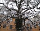 weihnachtsmarkt augsburg 2008 20181026
