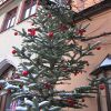 weihnachtsmarkt 2010 20181026
