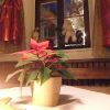 weihnachtsmarkt 2010 20181026