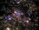 weihnachtsmarkt stasbourg 2007 20181024