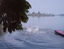 zeltfreizeit 1988